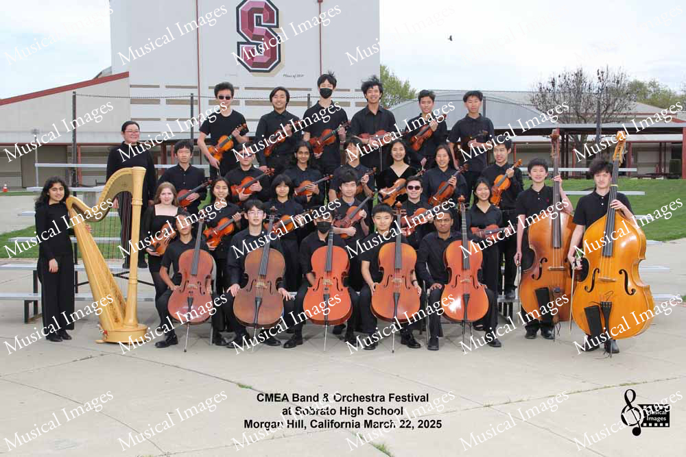 Musical Images